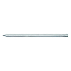 Klince kol�rske 1,6x36 Zn (2,5kg /bal.)